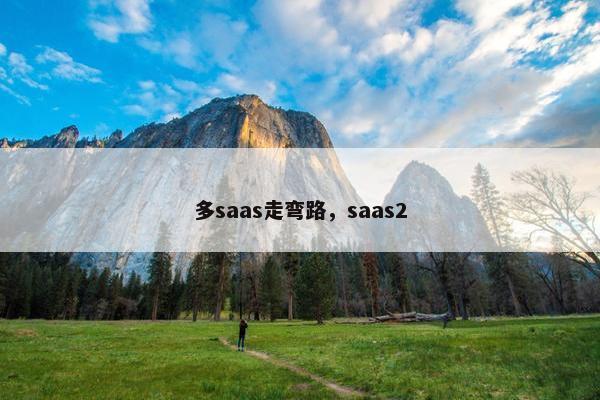 多saas走弯路，saas2