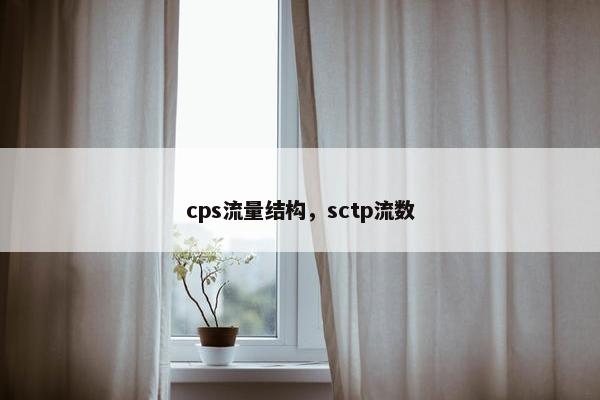 cps流量结构，sctp流数