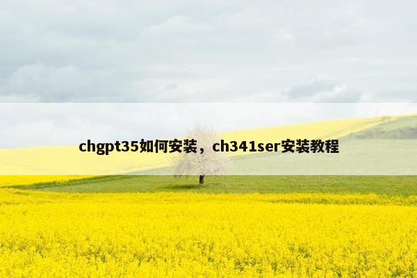 chgpt35如何安装，ch341ser安装教程