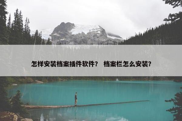 怎样安装档案插件软件？ 档案栏怎么安装？