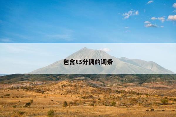 包含t3分佣的词条