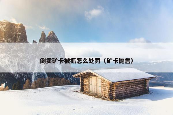 倒卖矿卡被抓怎么处罚（矿卡抛售）