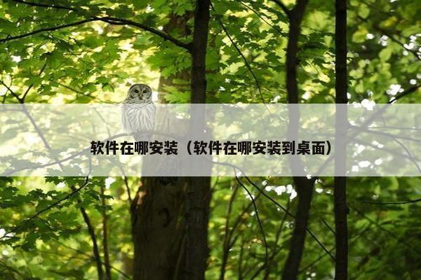 软件在哪安装（软件在哪安装到桌面）