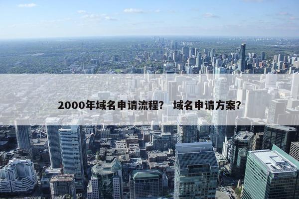 2000年域名申请流程？ 域名申请方案？