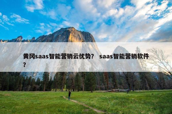黄冈saas智能营销云优势？ saas智能营销软件？
