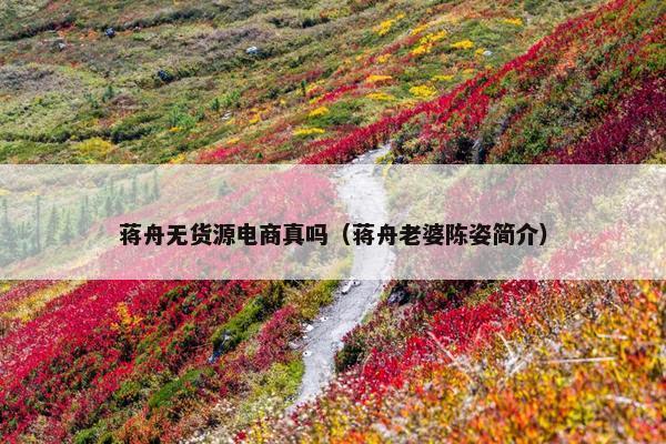 蒋舟无货源电商真吗（蒋舟老婆陈姿简介）