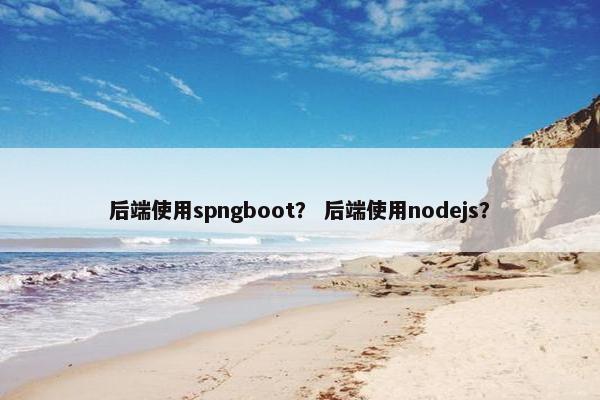 后端使用spngboot？ 后端使用nodejs？