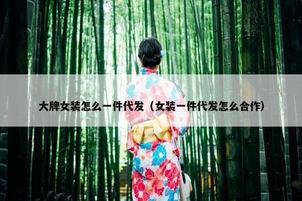 大牌女装怎么一件代发（女装一件代发怎么合作）