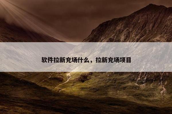 软件拉新充场什么，拉新充场项目