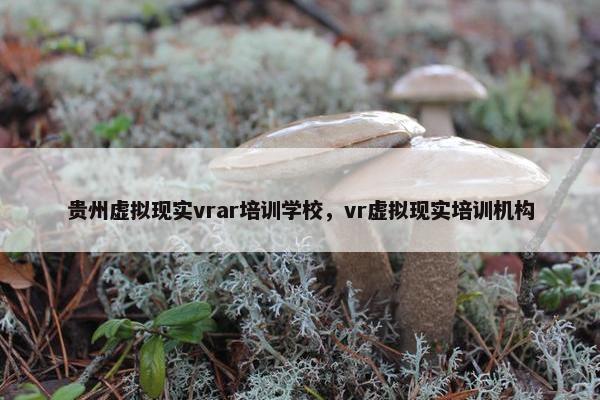 贵州虚拟现实vrar培训学校，vr虚拟现实培训机构