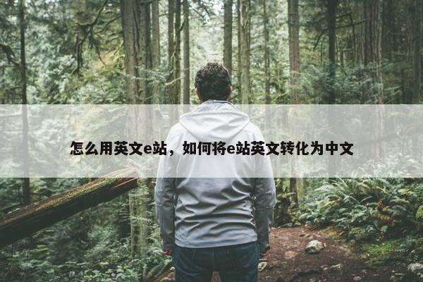 怎么用英文e站，如何将e站英文转化为中文