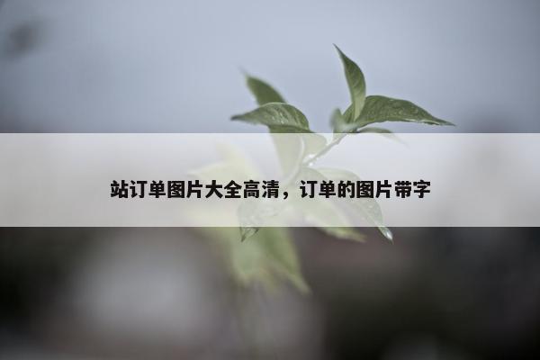 站订单图片大全高清，订单的图片带字