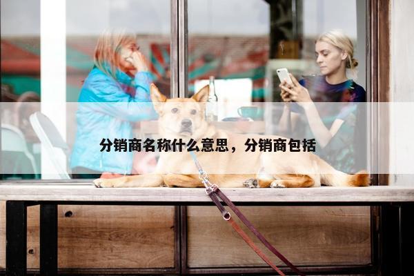 分销商名称什么意思，分销商包括