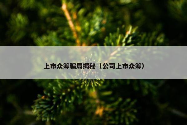 上市众筹骗局揭秘（公司上市众筹）