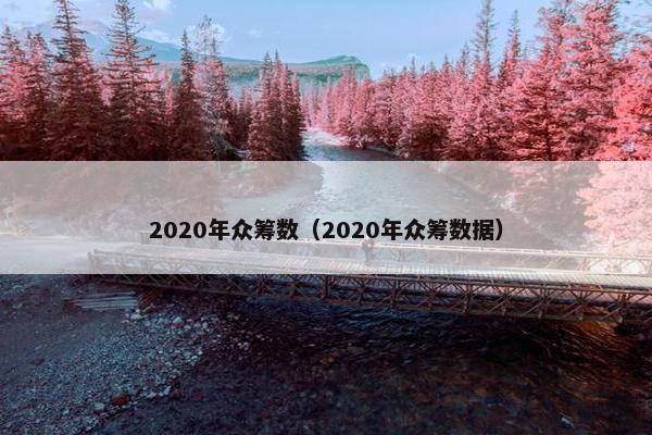 2020年众筹数（2020年众筹数据）