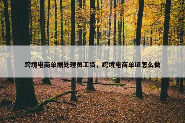 跨境电商单据处理员工资，跨境电商单证怎么做