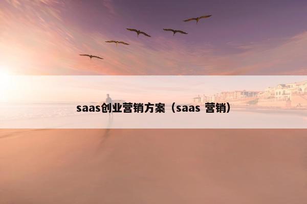 saas创业营销方案（saas 营销）
