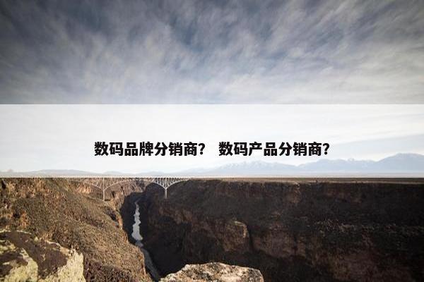 数码品牌分销商？ 数码产品分销商？