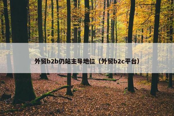 外贸b2b仍站主导地位（外贸b2c平台）