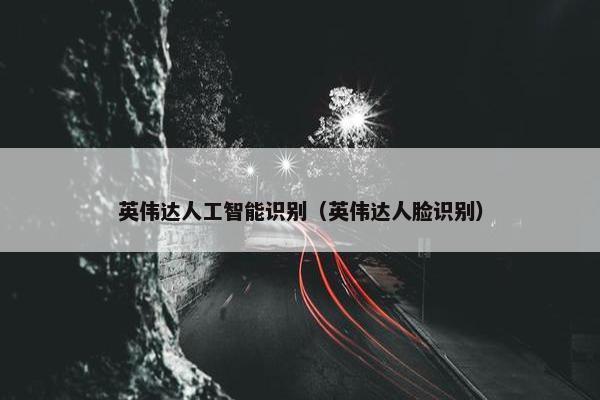 英伟达人工智能识别（英伟达人脸识别）