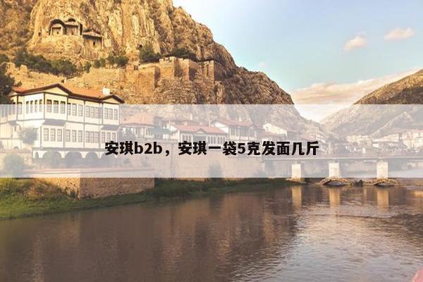 安琪b2b，安琪一袋5克发面几斤