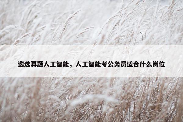 遴选真题人工智能，人工智能考公务员适合什么岗位