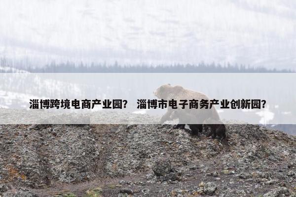 淄博跨境电商产业园？ 淄博市电子商务产业创新园？
