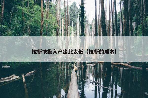 拉新快投入产出比太低（拉新的成本）
