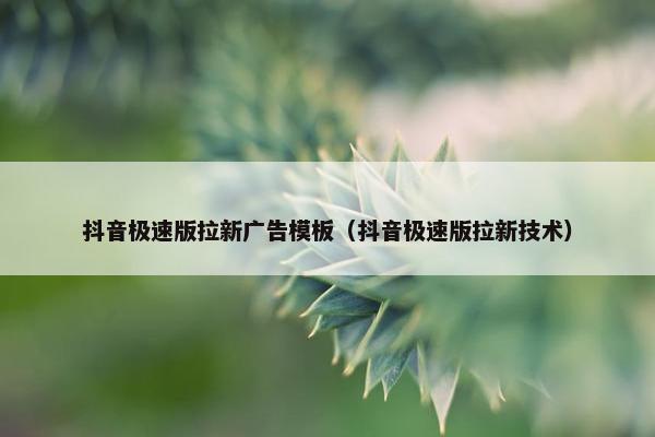 抖音极速版拉新广告模板（抖音极速版拉新技术）