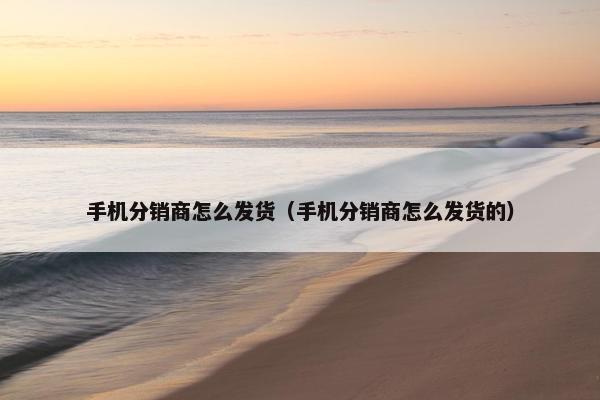 手机分销商怎么发货（手机分销商怎么发货的）