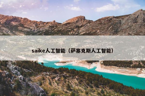 saike人工智能（萨塞克斯人工智能）