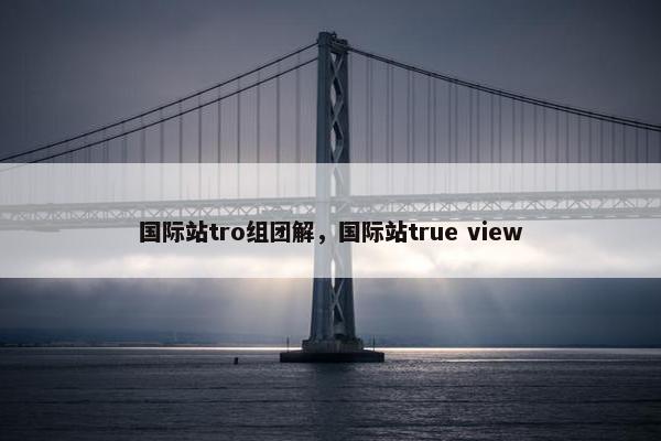 国际站tro组团解，国际站true view