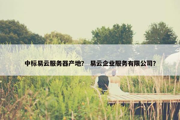 中标易云服务器产地？ 易云企业服务有限公司？