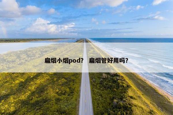 扁烟小烟pod？ 扁烟管好用吗？
