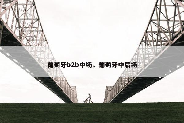 葡萄牙b2b中场，葡萄牙中后场