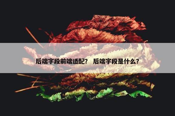 后端字段前端适配？ 后端字段是什么？