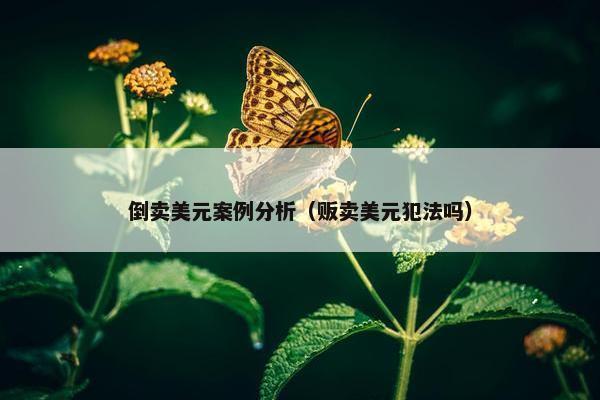 倒卖美元案例分析（贩卖美元犯法吗）