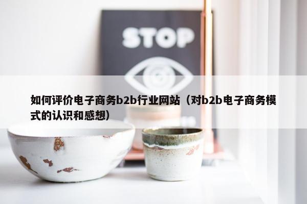 如何评价电子商务b2b行业网站（对b2b电子商务模式的认识和感想）