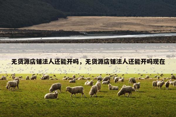 无货源店铺法人还能开吗，无货源店铺法人还能开吗现在