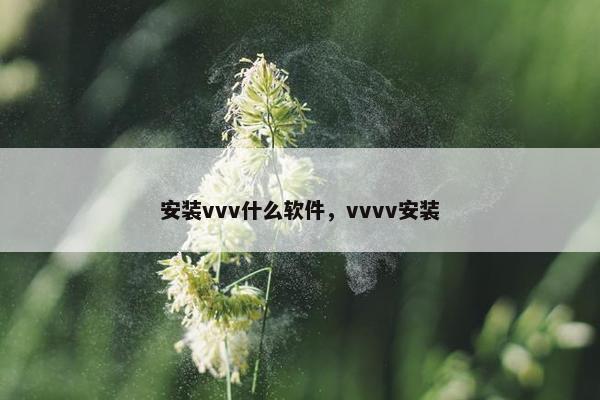 安装vvv什么软件，vvvv安装