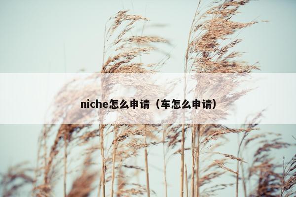 niche怎么申请（车怎么申请）