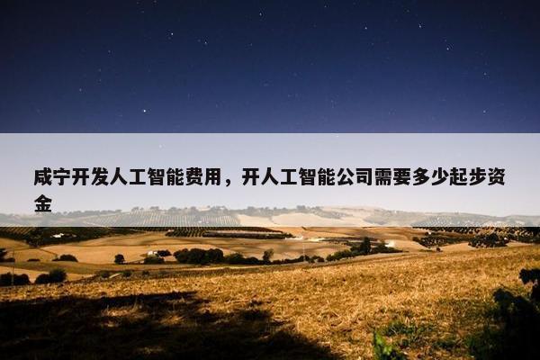 咸宁开发人工智能费用，开人工智能公司需要多少起步资金