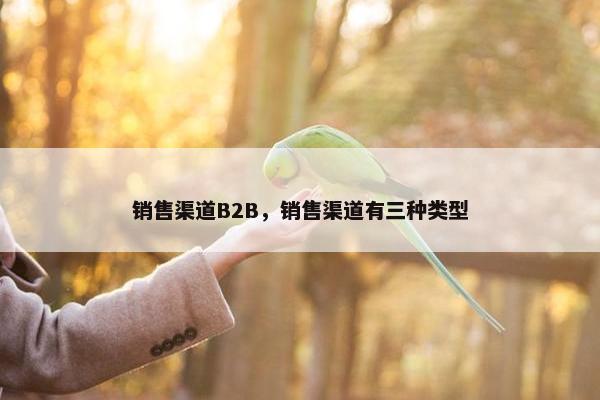 销售渠道B2B，销售渠道有三种类型