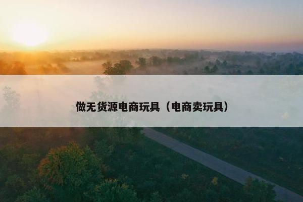 做无货源电商玩具（电商卖玩具）