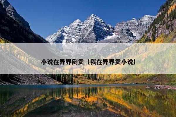 小说在异界倒卖（我在异界卖小说）