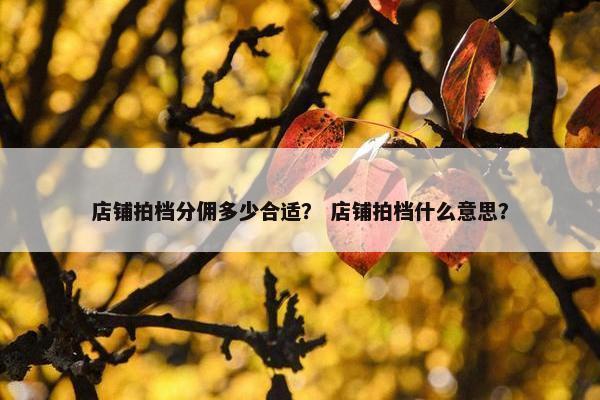 店铺拍档分佣多少合适？ 店铺拍档什么意思？