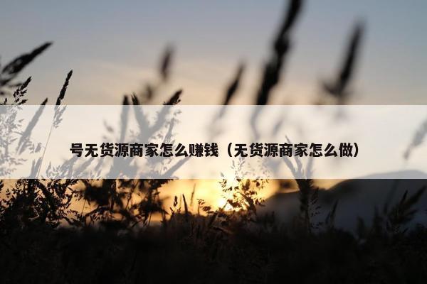 号无货源商家怎么赚钱（无货源商家怎么做）