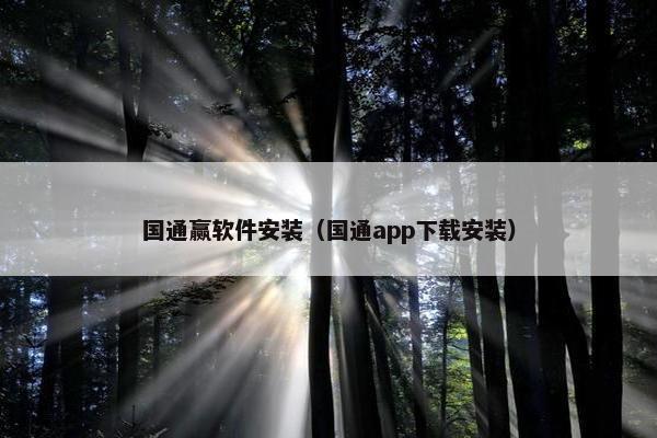 国通赢软件安装（国通app下载安装）