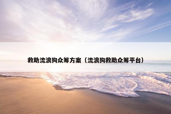 救助流浪狗众筹方案（流浪狗救助众筹平台）
