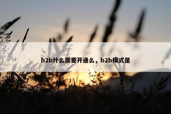 b2b什么需要开通么，b2b模式是